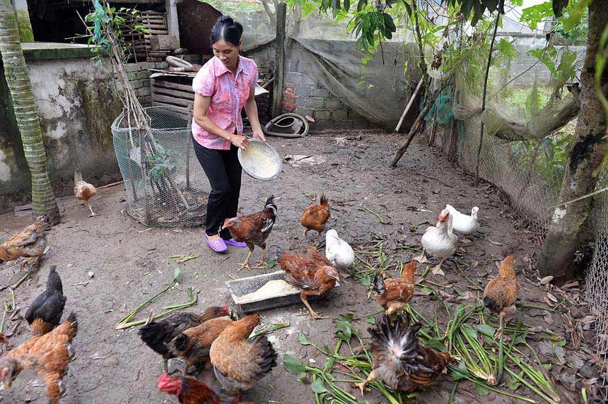 Đẹp "thần thái" xem con đá bóng, mẹ Văn Hậu gây chú ý vì chi tiết này - 6