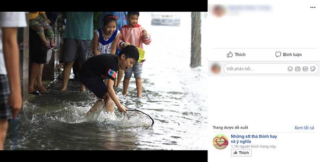 Hài hước cảnh người Đà Nẵng bơi thuyền, bắt cá giữa phố tràn ngập internet - 7