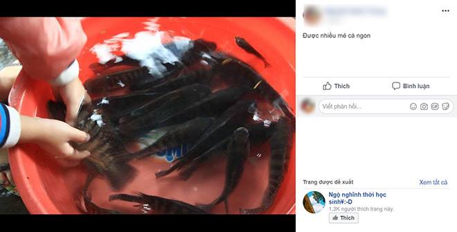 Hài hước cảnh người Đà Nẵng bơi thuyền, bắt cá giữa phố tràn ngập internet - 9