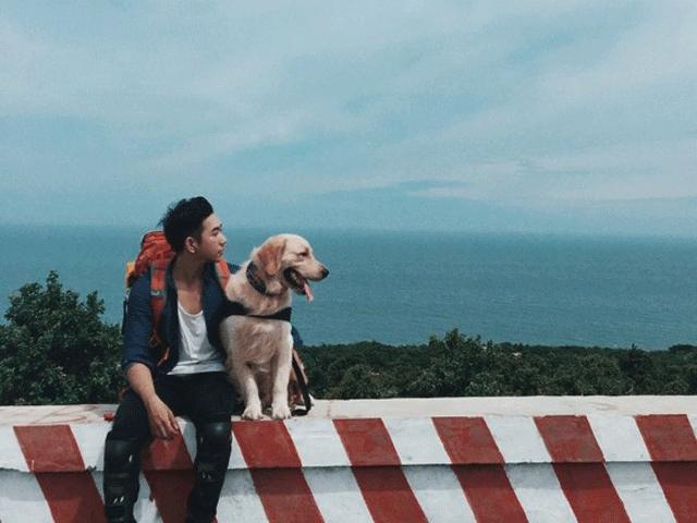 Du lịch - Những điều nhất định phải biết khi du lịch với thú cưng