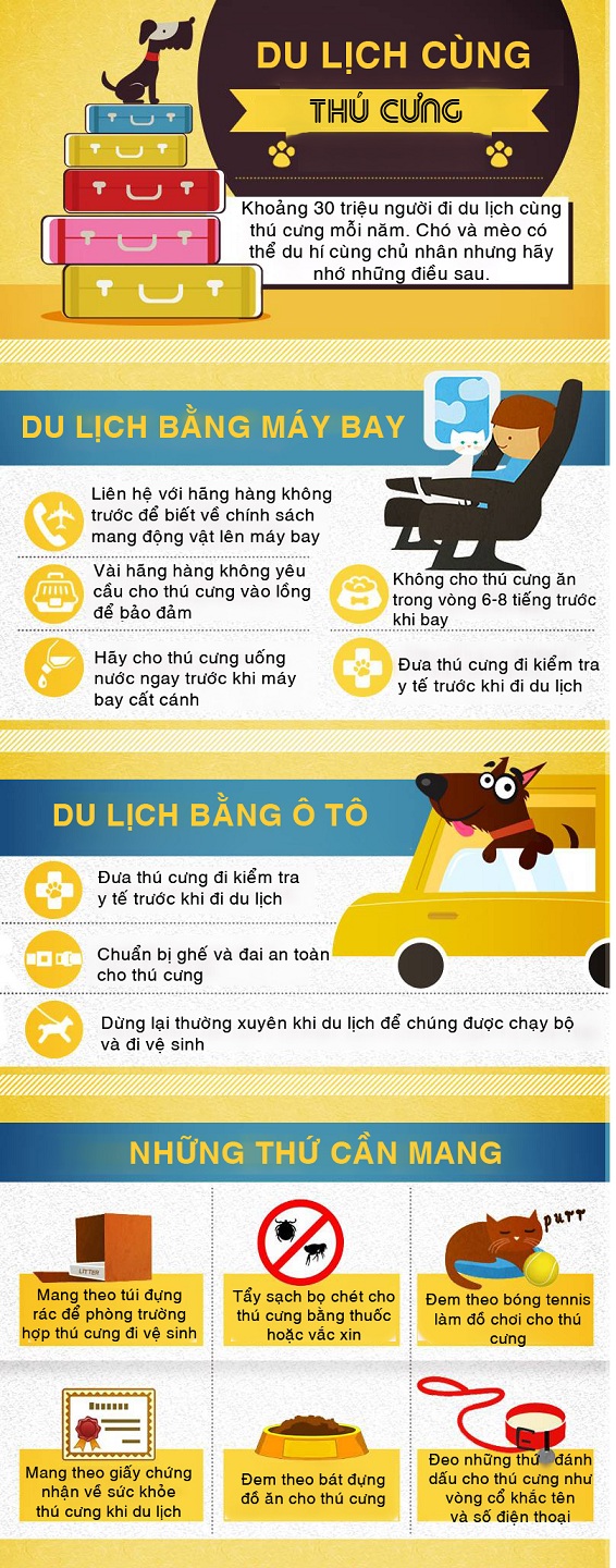 Những điều nhất định phải biết khi du lịch với thú cưng - 1