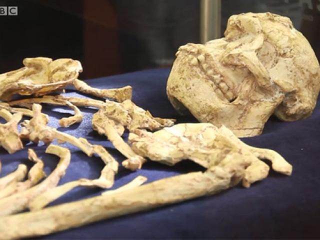 Phi thường - kỳ quặc - Bí ẩn hài cốt phụ nữ thuộc 1 loài người khác