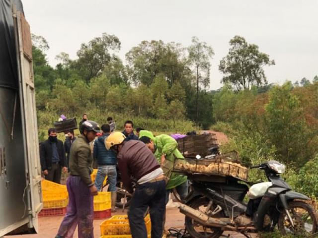 Thị trường - Tiêu dùng - Gà Trung Quốc ồ ạt nhập lậu "biến" thành gà nội