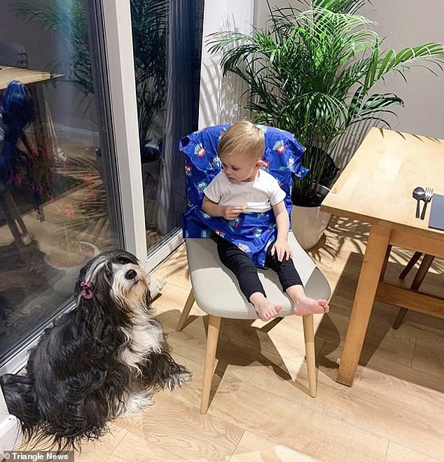 Đây là cách cậu bé 1 tuổi giúp bố mẹ kiếm được rất nhiều tiền - 5