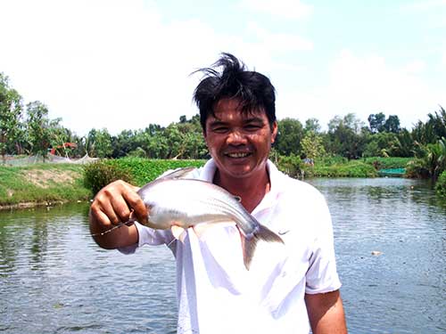 LẠ MÀ HAY: Nuôi cá bằng... bánh bao, ông Tư lãi tiền tỷ - 1