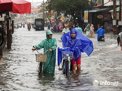 Đà Nẵng: Nhiều trường tiếp tục cho học sinh nghỉ học ngày 11/12 vì mưa ngập - 1
