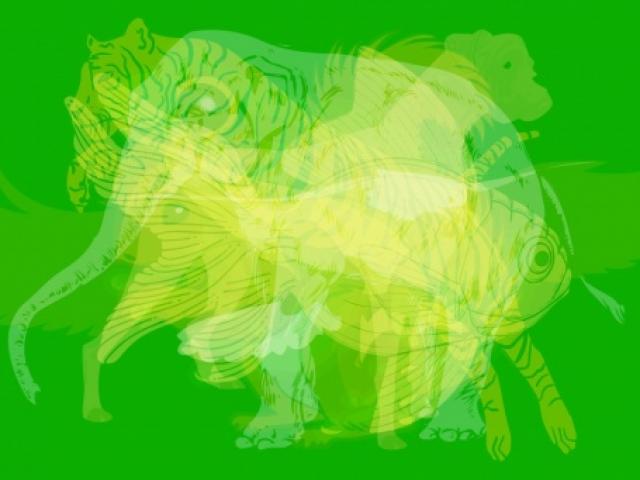 Bạn trẻ - Cuộc sống - Con vật đầu tiên bạn thấy cho biết bạn là con người như thế nào