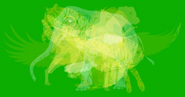 Con vật đầu tiên bạn thấy cho biết bạn là con người như thế nào - 1