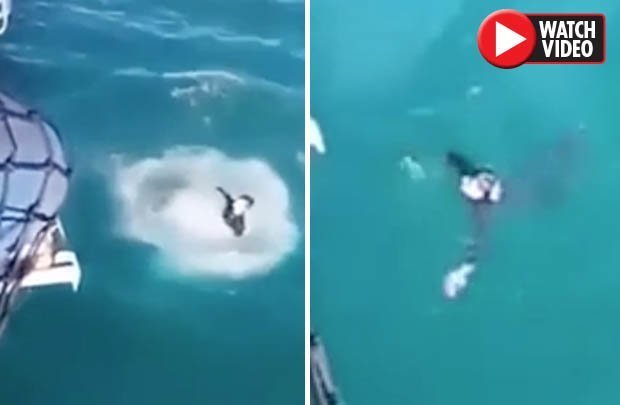Video: Thanh niên nhảy xuống nước và hối hận ngay lập tức - 1