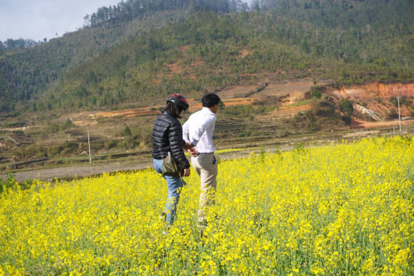 Bài dự thi My Happiness (số 30) : Chuyện tình hoa Tam giác mạch! - 1