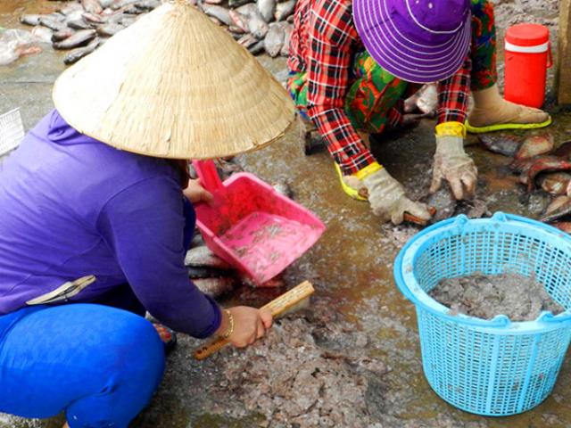 Thị trường - Tiêu dùng - Lại xuất hiện thương lái thu mua “kiểu lạ” ở miền Tây