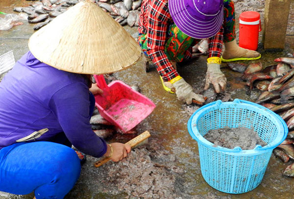 Lại xuất hiện thương lái thu mua “kiểu lạ” ở miền Tây - 1