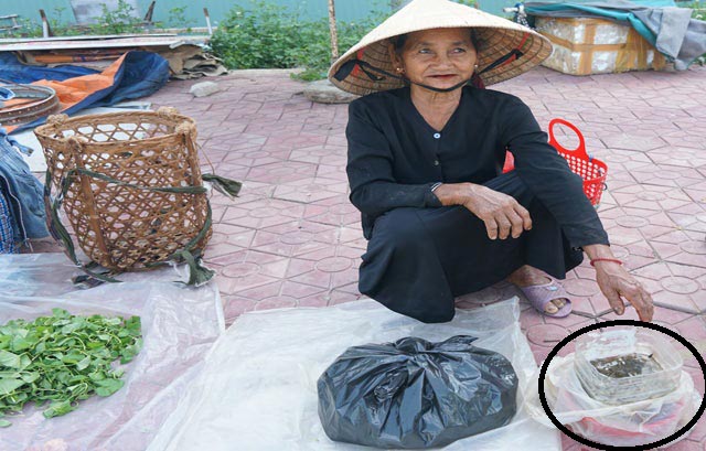 Hì hụi lội đồng săn đặc sản nòng nọc: Ngon, bổ hiếm có món nào bằng - 7