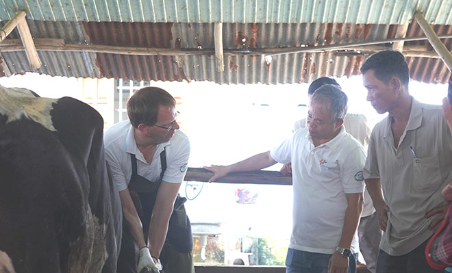 Nông dân Việt Nam và nông dân Hà Lan giao lưu, tập huấn kỹ thuật chăn nuôi bò sữa - 3