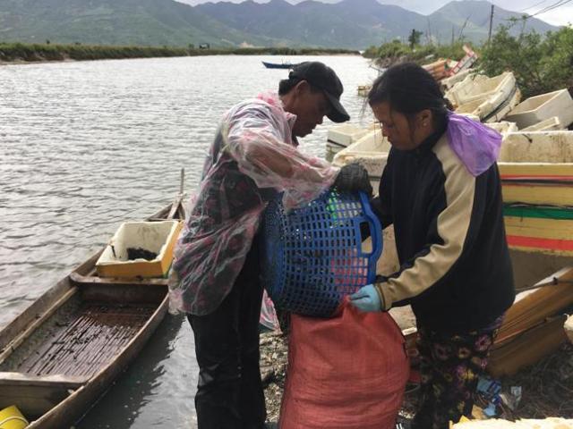 Thị trường - Tiêu dùng - Sau mưa bão, ngư dân hối hả săn “lộc biển”, kiếm cả triệu bạc