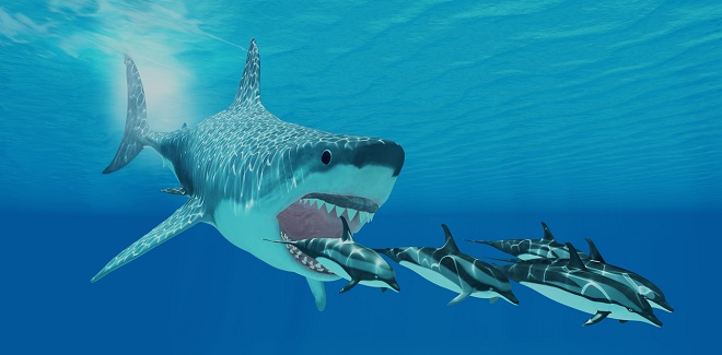 Thủ phạm ngoài hành tinh khiến siêu cá mập khổng lồ thời tiền sử tuyệt chủng - 1