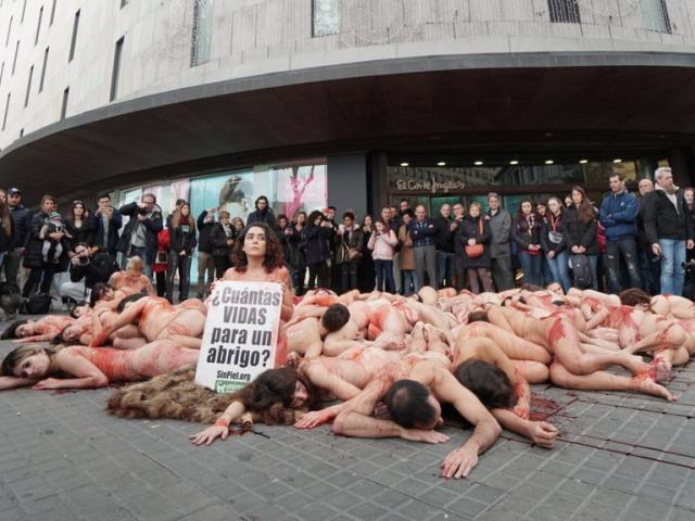 Khỏa thân tắm ”máu” biểu tình ở Tây Ban Nha