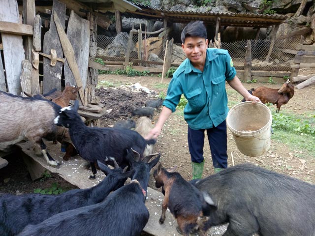 Giữa thung lũng nuôi con đặc sản mà thu trăm triệu - 1