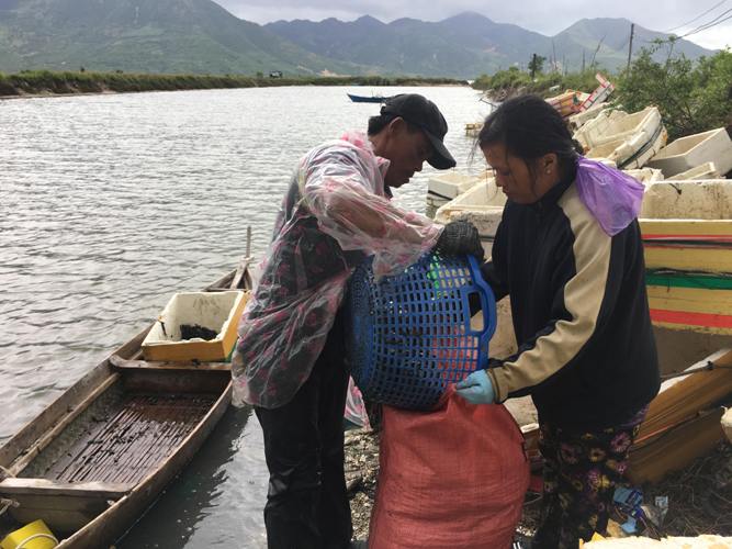 Sau mưa bão, ngư dân hối hả săn “lộc biển”, kiếm cả triệu bạc - 4