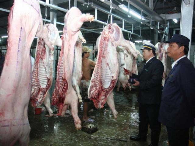 Tin tức trong ngày - Không để vật nuôi chứng kiến đồng loại bị giết mổ: Nhân văn và... rất khó!