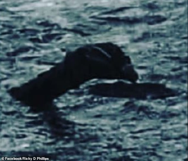 Nhà sử học khẳng định đã giải mã được bí ẩn quái vật hồ Loch Ness - 1