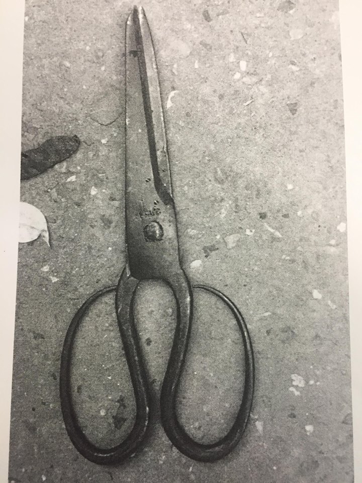 Nhát kéo oan nghiệt đoạt mạng bạn thân và giọt nước mắt muộn màng sau song sắt - 2