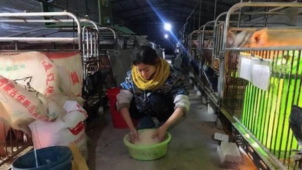 Hô hấp nhân tạo cho lợn, cô gái xinh đẹp kiếm 3,5 tỷ/năm - 4