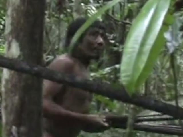 Bị người hiện đại giết, bộ lạc nguyên thủy Amazon sắp biến mất vĩnh viễn