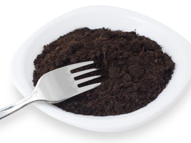 Sức khỏe đời sống - Ăn đất có thể ngừa béo phì