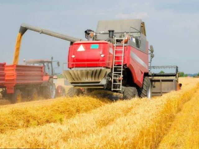 Thị trường - Tiêu dùng - Bỏ ngành Y về quê làm nông, chàng thanh niên thu nhập hàng tỷ đồng mỗi năm