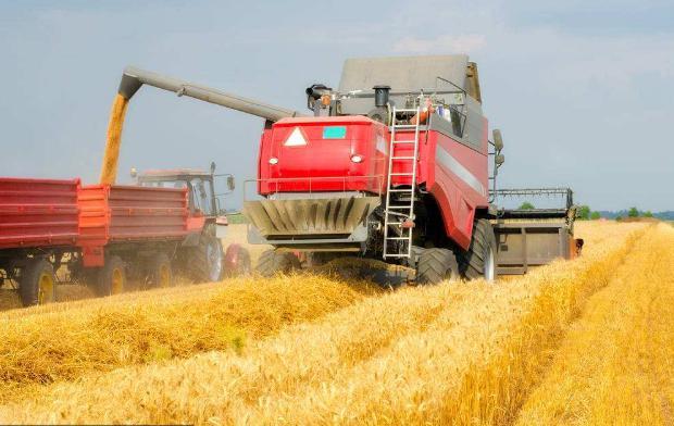 Bỏ ngành Y về quê làm nông, chàng thanh niên thu nhập hàng tỷ đồng mỗi năm - 1