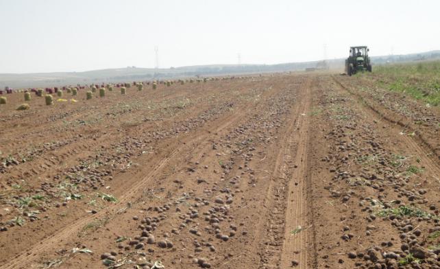 Bỏ ngành Y về quê làm nông, chàng thanh niên thu nhập hàng tỷ đồng mỗi năm - 2