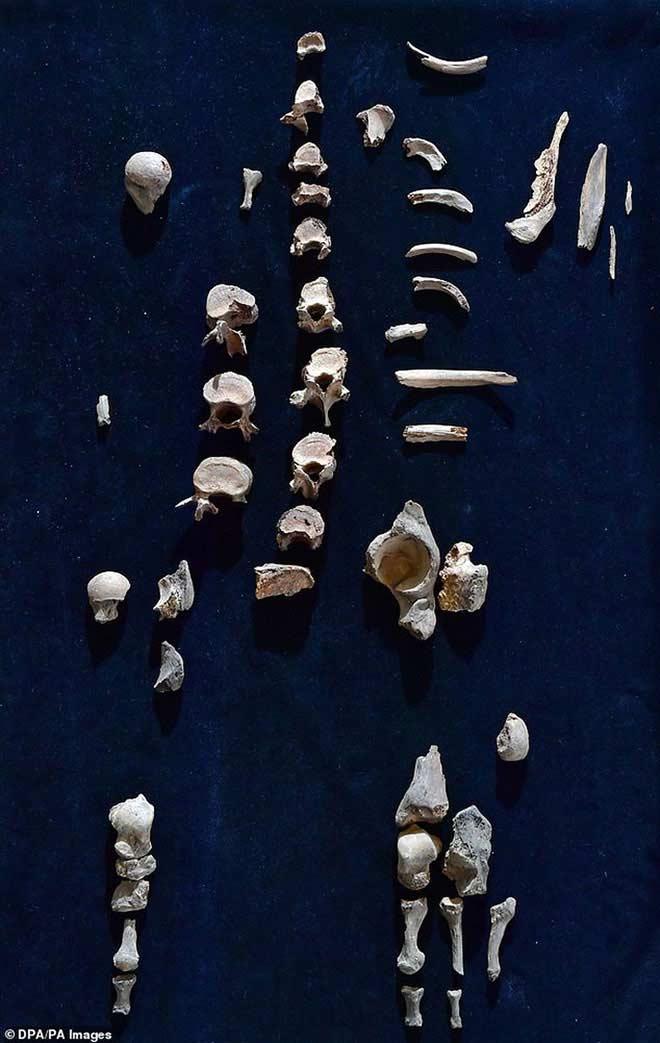 Giải mã vụ án mạng chấn động sau 4.000 năm - 3