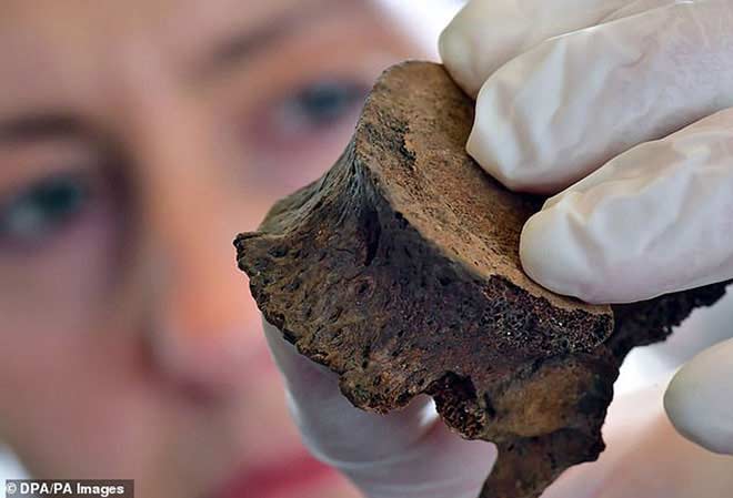 Giải mã vụ án mạng chấn động sau 4.000 năm - 4