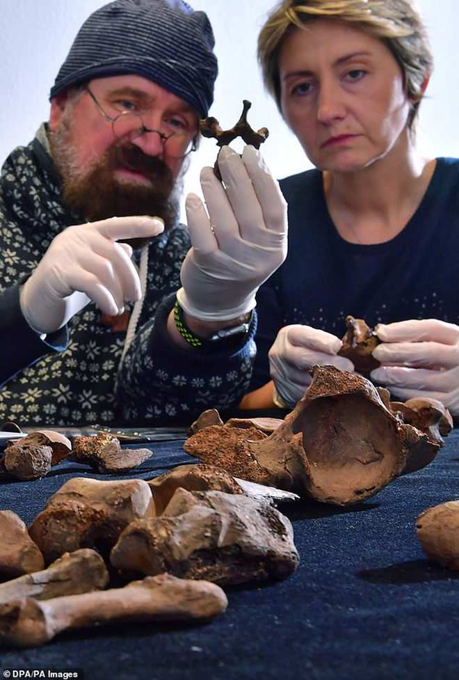 Giải mã vụ án mạng chấn động sau 4.000 năm - 6