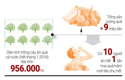 Xa rồi cảnh xe tải ùn ùn mua cam, các tỉnh đau đầu tìm nơi tiêu thụ - 2