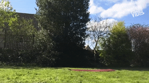 Bật cười với những quý ông thích làm trò cười cho chị ẹm - 1