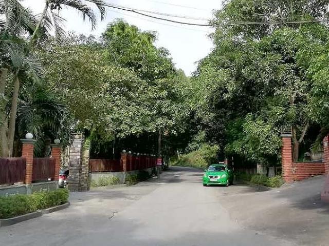 Pháp luật - Nhóm sinh viên đi chụp hình gặp người chết trên cây