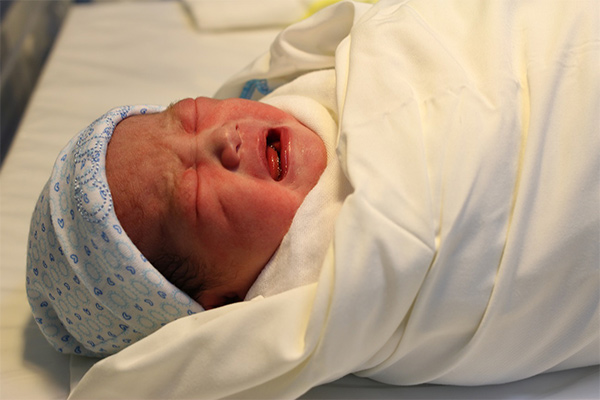 Bài dự thi My Happiness (số 54): Mùi của hạnh phúc - 3