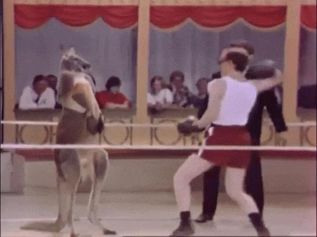 Video Clip Cười - Đừng thấy người ta hiền mà "khiêu khích" nha