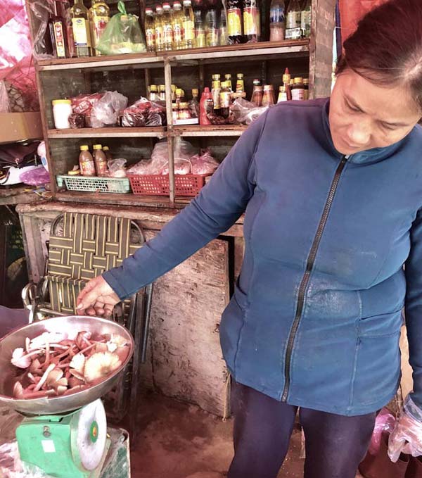 Hái đặc sản nấm Vua &#34;lộc trời cho&#34; ẵm ngay tiền triệu/ ngày - 8