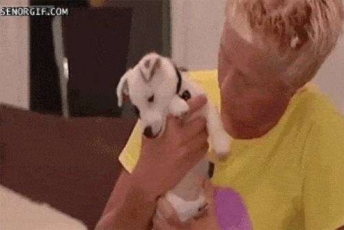 Bắt gặp khoảnh khắc khác thường ai xem cũng giật mình - 1