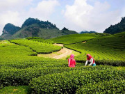 Du lịch - Tết dương lịch nghỉ 4 ngày đi chơi đâu gần Hà Nội?