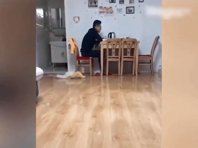 Video Clip Cười - Đừng bao giờ trẻ con ở nhà một mình với các ông bố