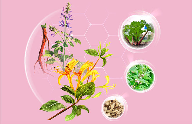 Viêm lộ tuyến cổ tử cung có mấy cấp độ và điều trị như thế nào? - 2