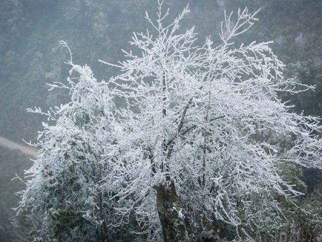 Tin tức trong ngày - Miền Bắc sắp đón đợt rét khốc liệt, khả năng xảy ra mưa tuyết