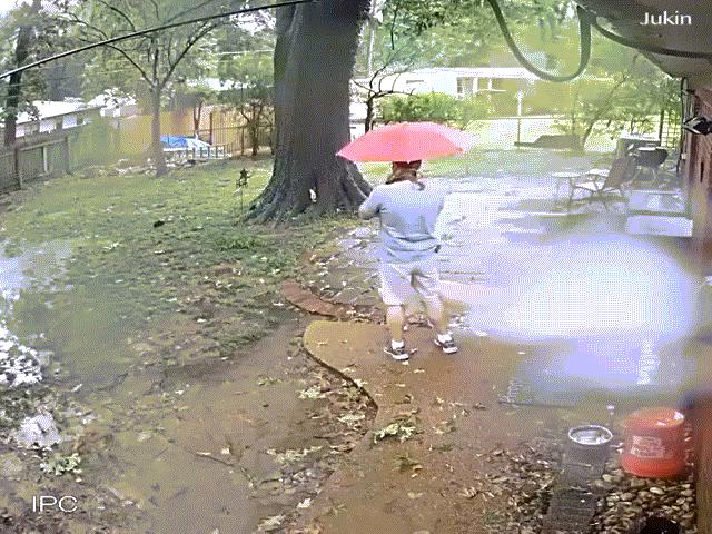 Media - Những khoảnh khắc thoát chết thần kỳ đến không tưởng