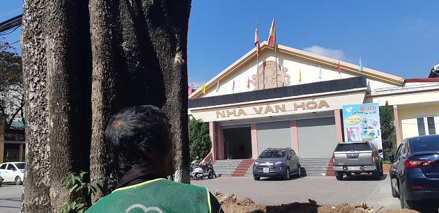 Hòa Bình: Bàng hoàng nhìn cảnh 50 cây hoa sữa cổ thụ bị "tàn sát" - 1