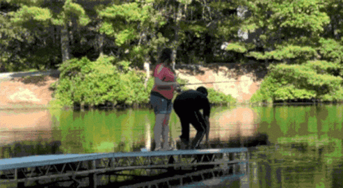 Những pha troll khốn nạn khiến người ta muốn "rớt tim" - 3