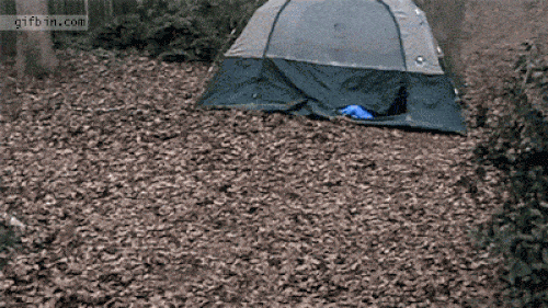 Muôn kiểu đánh thức muốn "rụng tim" những người hay ngủ lười - 3